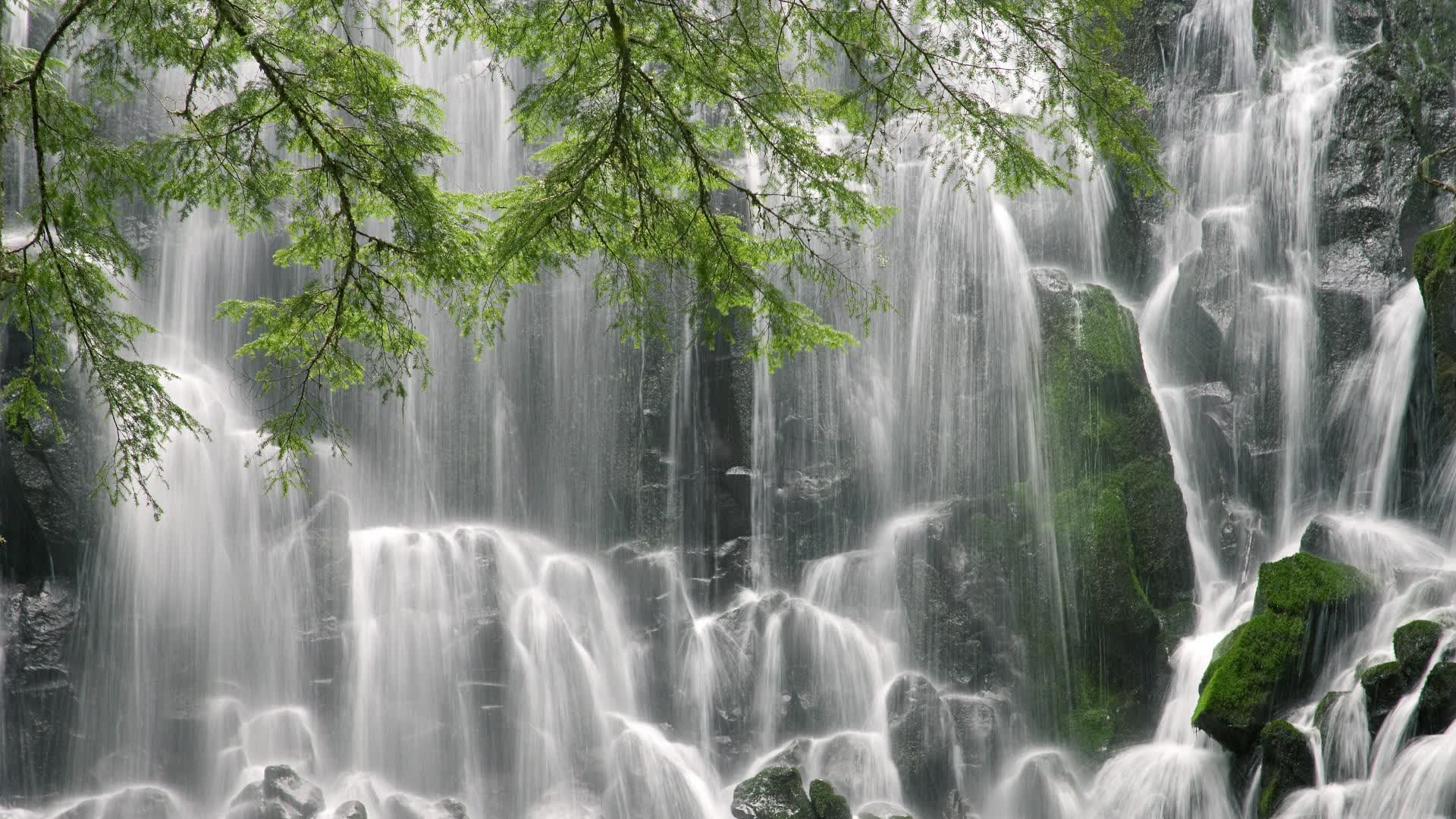 世界保龄球高校联赛赛季后教练培养计划第二期启动,保龄球世界锦标赛
